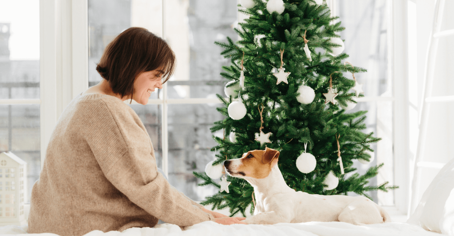 Decoração de Natal