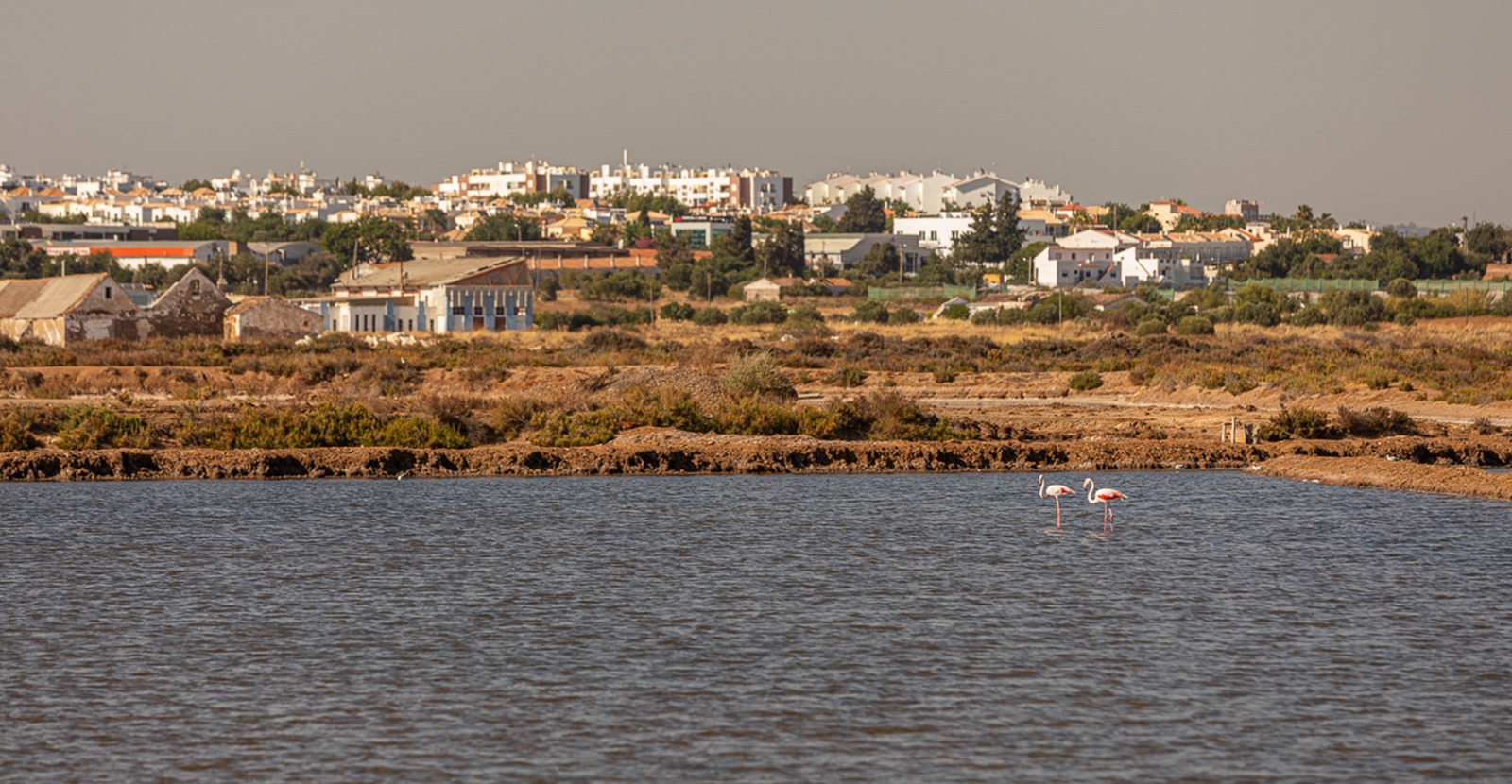 Oportunidades de trabalho em Tavira e Vila Real de Santo António